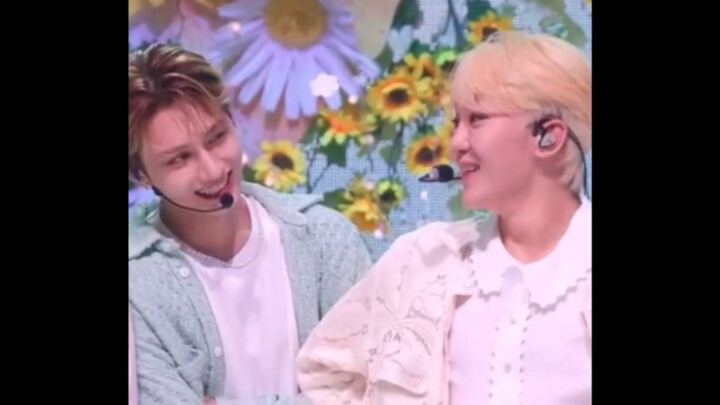 【SEVENTEEN】boo đáng yêu bao nhiêu thì được cưng chiều bấy nhiêu