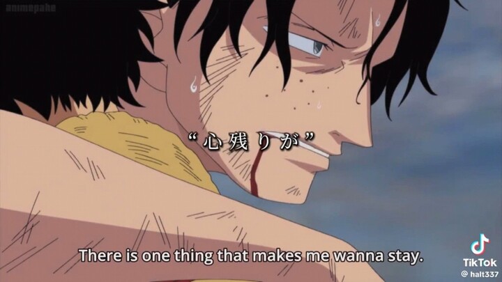 #Bilibili Legendary Creator Edition 2