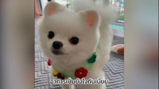 งงอะไรกันคะะ