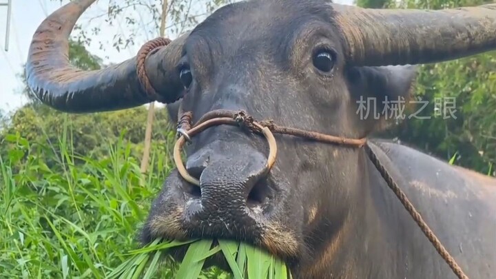 Suỵt🤫, chỉ cho mình bạn nghe thôi! Phiên bản mới nhất