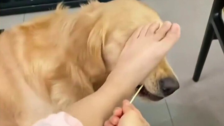 ไม่เป็นไร ฉันจะเตะเอง
