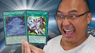 J'ai ENFIN trouvé ces cartes ULTRA RARES de Yu-Gi-Oh!