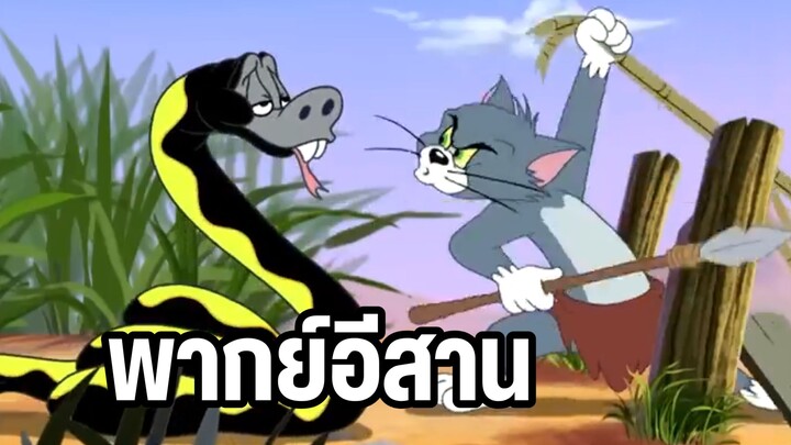 ทอมแอนด์เจอร์รี่ พากย์อีสาน ตอน ป่าดิบชื้น