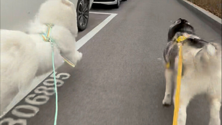 Untung saja aku cepat tanggap……