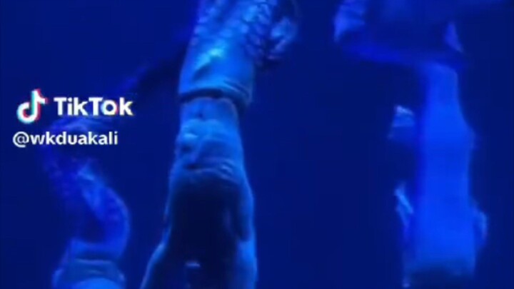 I saw the fish inside the mermaid