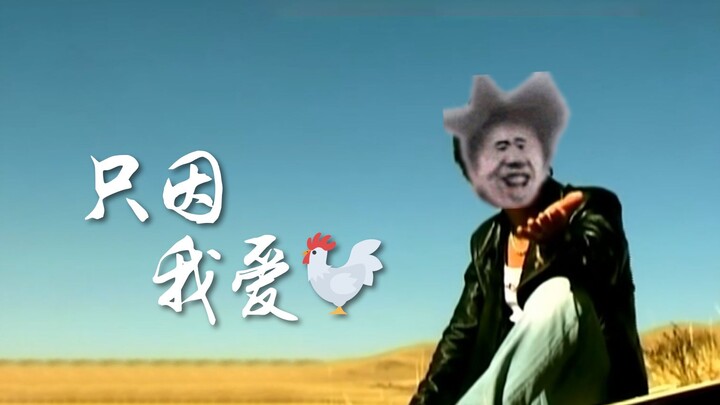 🐔: Girl, I love you