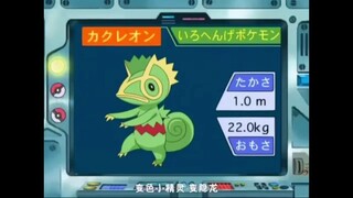 オーキド博士のポケモン講座(カクレオン)