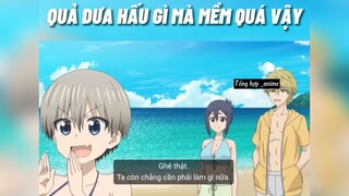 Quả dưa hấu mềm mại