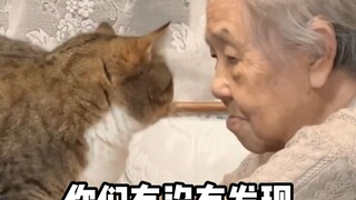 Why is the cat aggressive toward everyone but gentle and obedient with the elderly?
