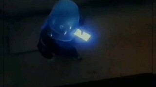 我已经分不清哪个是狗了