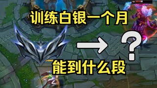 I've trained Silver for a month—how much has he improved now?