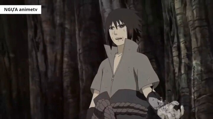 Tất Tần Tật Về 4 Cuộc Đại Chiến Nhẫn Giả _ Tóm Tắt Naruto 11