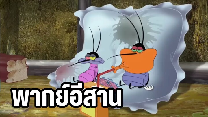 อ๊อกกี้กับแก๊งแมลงสาบ พากย์อีสาน ฮาๆส่งท้ายปี