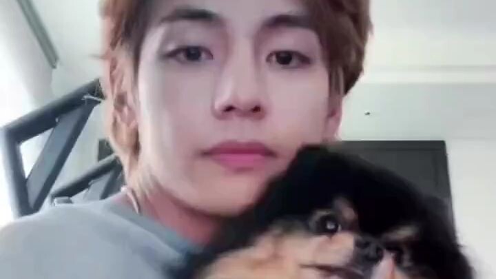 Kim Taehyung and Yeontan cutest