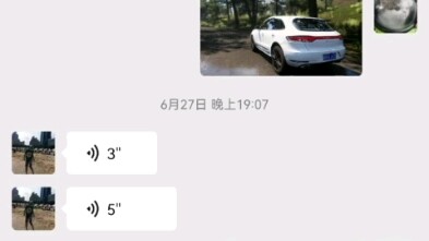 Ketika aku memperdaya ibuku dengan tangkapan layar dari Forza Horizon 5