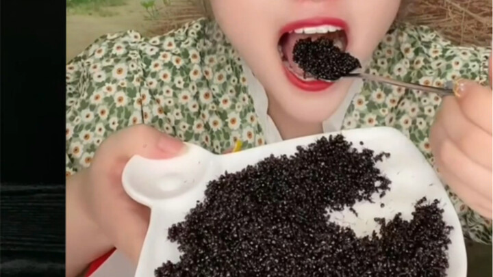 Are the internet-famous “black ants” really delicious?