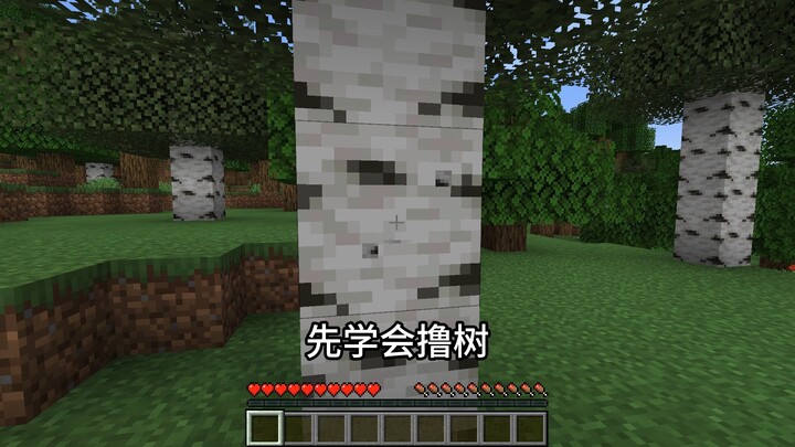 Minecraft? Minecraft! Minecraft ｡
