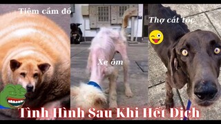 Những đứa con thất lạc của thần biển #53 / Tình Hình Sau Khi Hết Dịch 😂😂😂