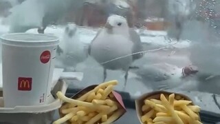 These fries are incredibly delicious, you must try them