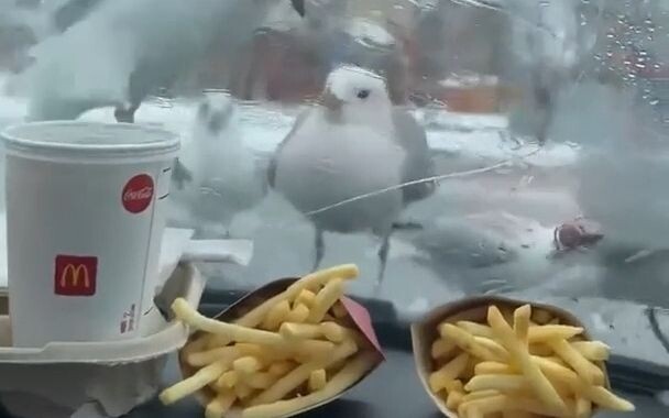 هذه البطاطس لذيذة بشكل لا يصدق، يجب عليك تجربتها