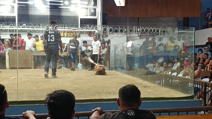 panalo si white choco 2hits champion