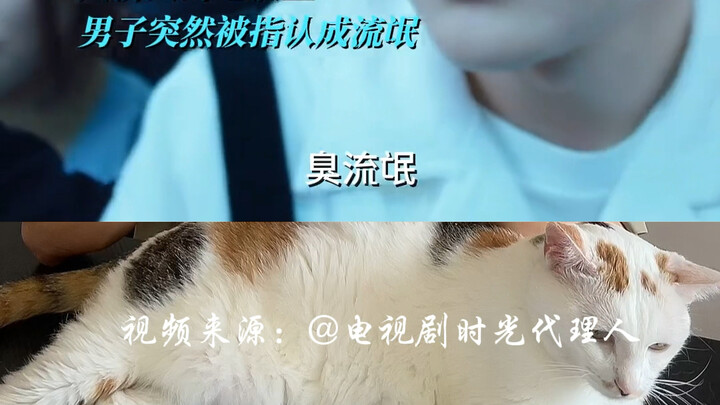 Đã được chuyển thể thành phim truyền hình rồi ư? Mọi người cứ tag mình đi. Sau này mình cũng sẽ ra m