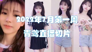 【Qing Yuan】Loving You Walking Alone Through Dark Alleys - Live Stream Weekly Report No.1