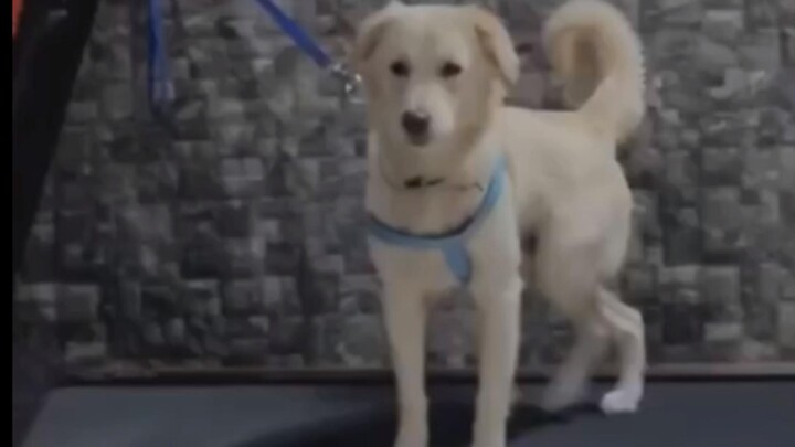 The Contradictory Unity of Absolute Motion and Relative Stillness