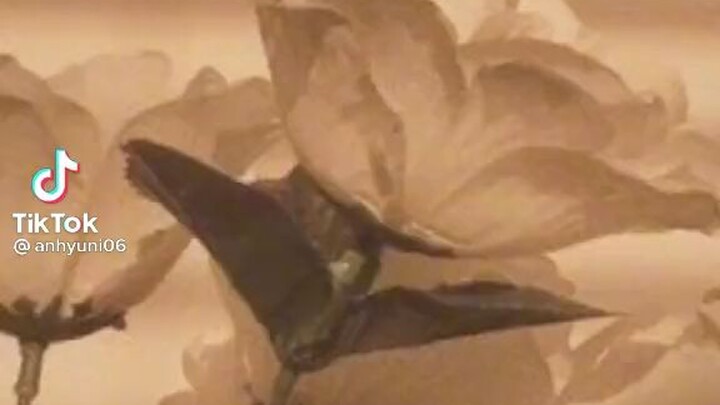 12 cung Hoàng Đạo