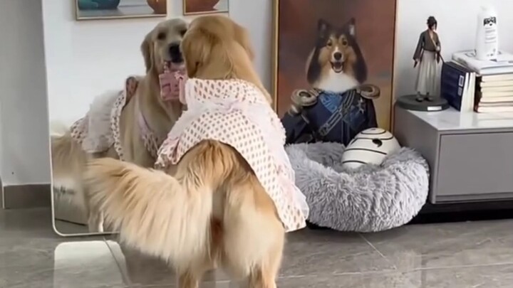 Giving her a manicure!!! Hahaha #dog #fancy-pants #hilarious