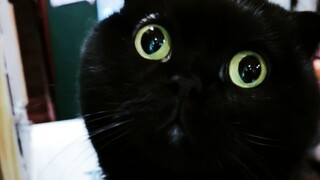 Can you tell me, what exactly is so magical about this shady stuff?