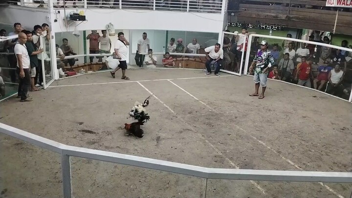 ulutan 2nd fight win at Digos Davao del sur