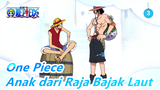 [One Piece] Anak dari Raja Bajak Laut sangat baik_3