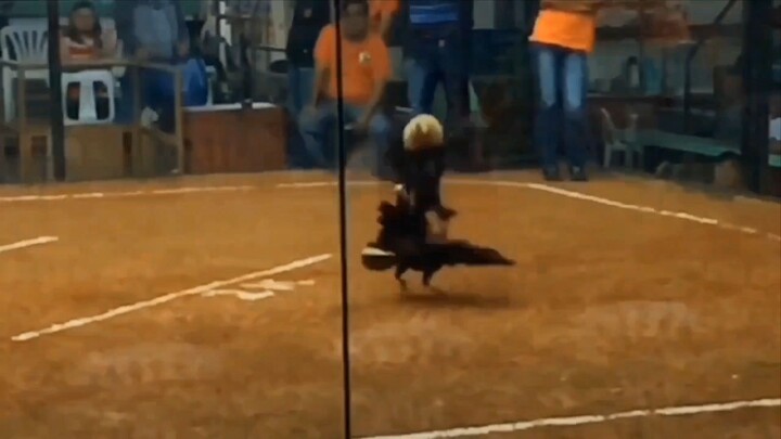 SONNY LAGON JOE GOODE GREY 1ST WIN