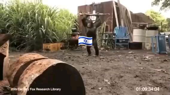 When you give Israelis Weapons #Israeli #Israelimilitary