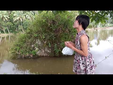 mengarungi bahtera cinta #epsd 28