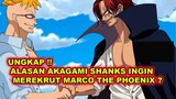 ALASAN AKAGAMI SHANKS INGIN MEREKERUT MARCO THE PHOENIX ? #onepiece #anime#shanks#marcothephoenix