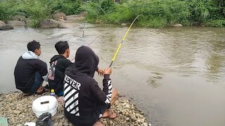 Mancing Dapat Ikan Wader Besar - Besar