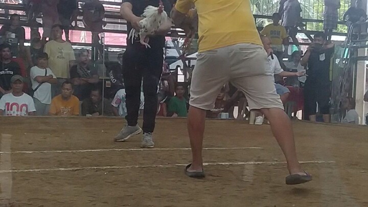 angono cockpit. gold samin jan