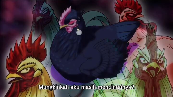 ayam