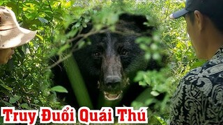 12 Phút Nghẹt Thở Team Săn Bắt Ẩm Thực Vùng Cao Truy Đuổi Quái Thú Rừng Sâu Tấn Công Nhà Dân