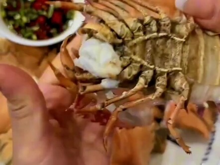 เจ้านี่นอกจากเปลือกแล้วก็มีแต่เนื้อ...