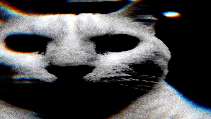 【Meme】Ai xem xong mà bật cười sẽ vinh dự lọt top món nhất định phải ăn ở Thành Đô #162