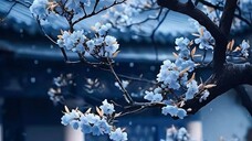 给自己一个拥抱 ( Cho mình 1 cái ôm )