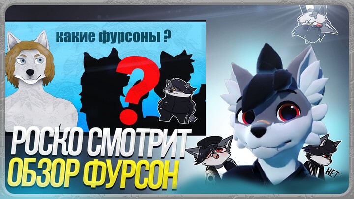 🐺 Роско смотрит ТРАФЭ - обзор фурсон , которые понравились