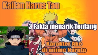 Kalian Harus Tau 3 Fakta Menarik Tentang Karakter Ake di Anime Naruto