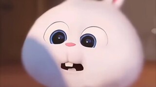 【Yoon Jeonghan】《囧＆哈尼 Nhạc phim gốc》