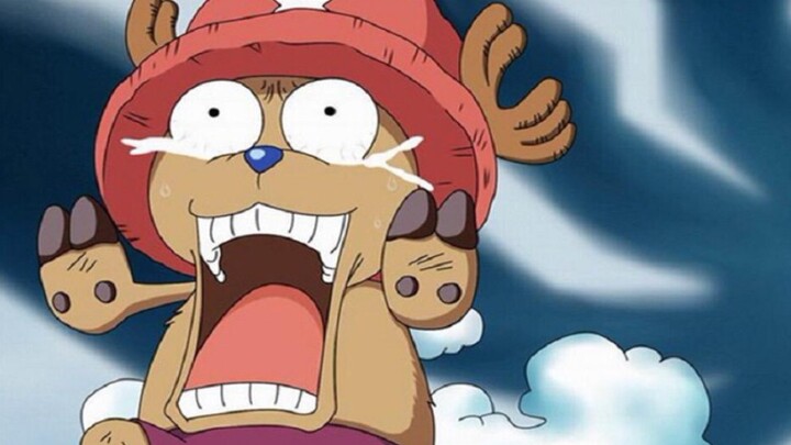 [Partner Bab 2-2] Bagaimana Chopper naik ke kapal bersama Luffy? (Bagian 2)