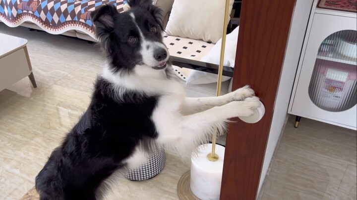 Today is the button quality test