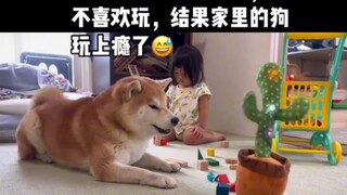 Mata anjing itu penuh dengan penegasan atas suara nyanyiannya